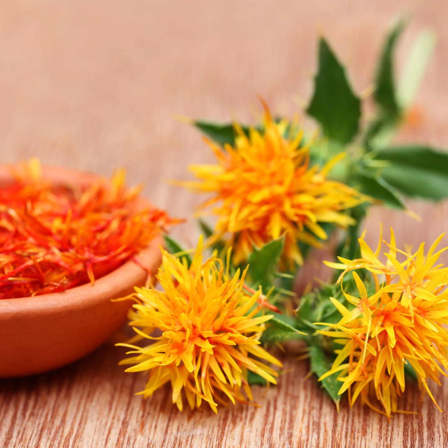 Safflower seeds