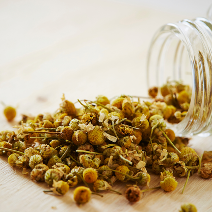 Chamomile Flower Tea | Pure Whole Flower Buds of Chamomile | Sleep helper | Herbal Tea - Caffeine Free | Calming Soothing Tea